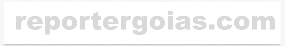 Google search engine